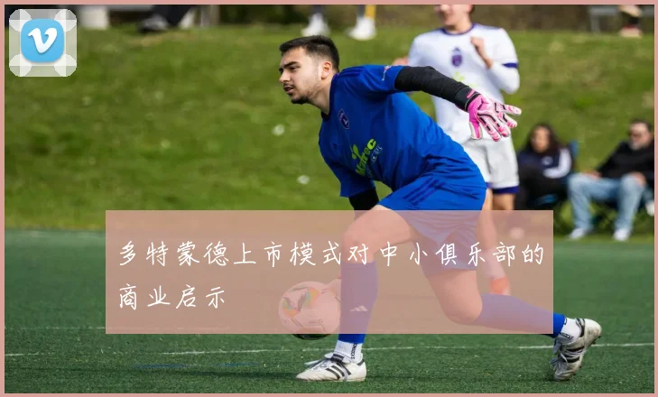 多特蒙德上市模式对中小俱乐部的商业启示