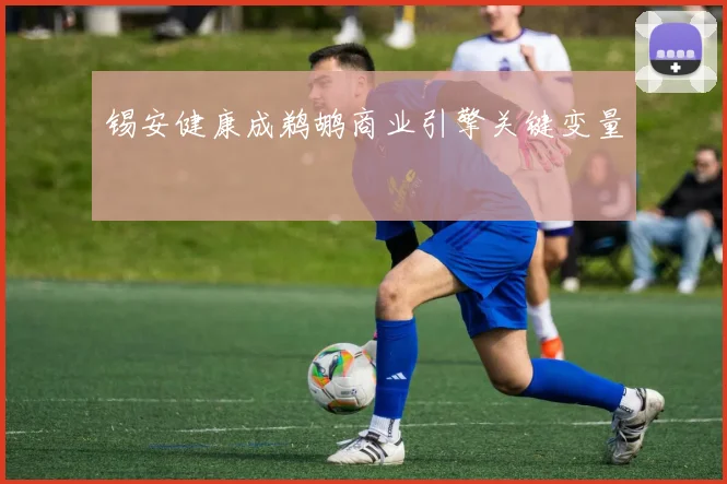 锡安健康成鹈鹕商业引擎关键变量